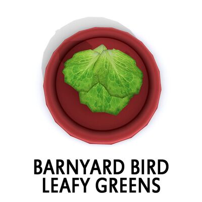 Barnyard Bird Leafy Greens